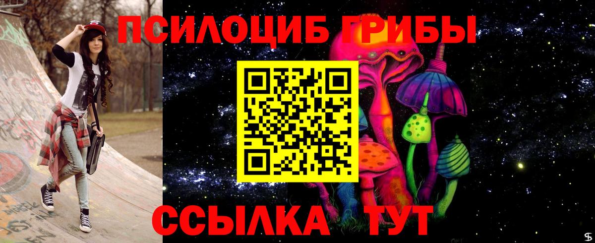 Псилоцибиновые грибы мицелий Хасавюрт