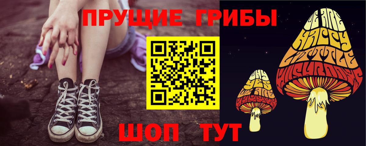 Псилоцибиновые грибы прущие грибы  Вход с VPN  Хасавюрт  Галлюциногенные грибы Cubensis 